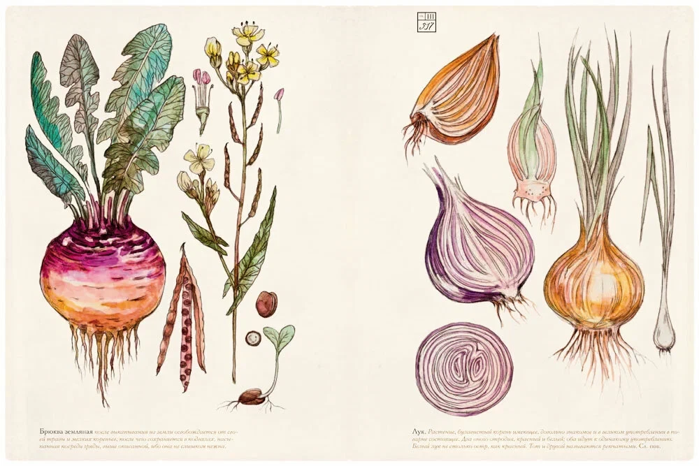 Russian Cuisine - 200 Years Later