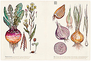 Russian Cuisine - 200 Years Later