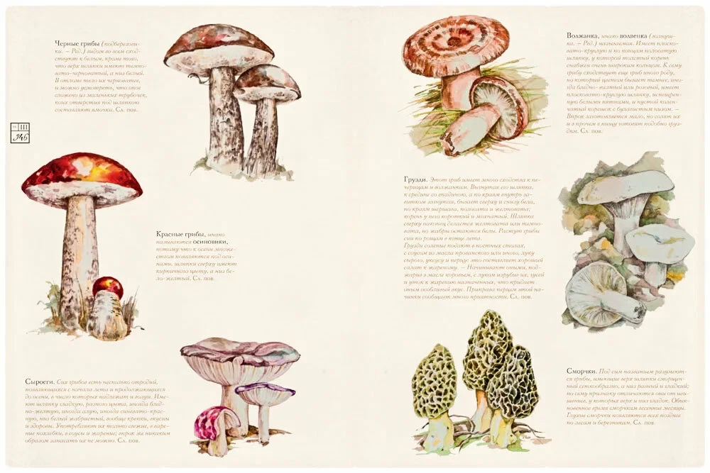 Russian Cuisine - 200 Years Later