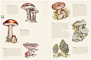 Russian Cuisine - 200 Years Later