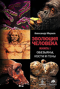 Эволюция человека. Кн.1 Обезьяны, кости и гены