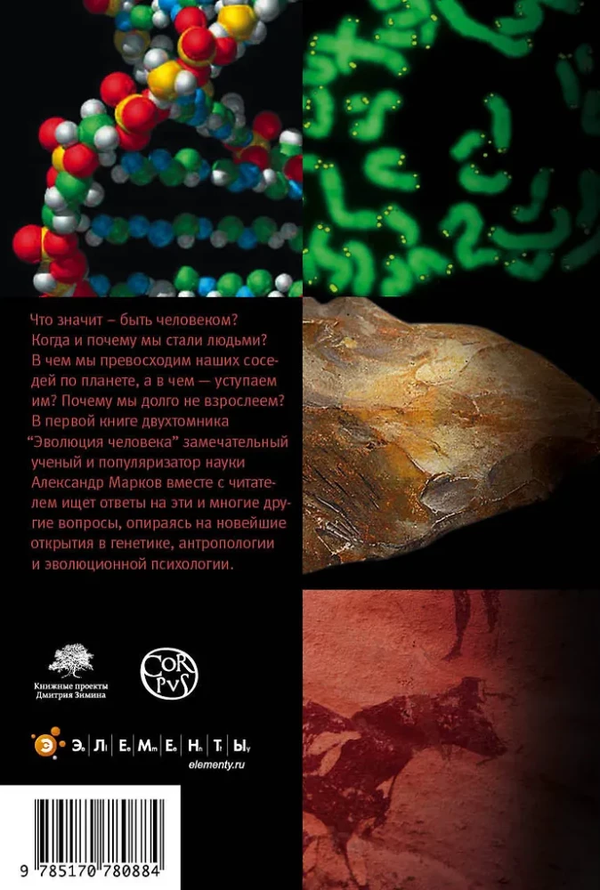 Эволюция человека. Кн.1 Обезьяны, кости и гены