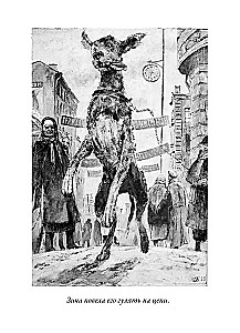 Psie serce. Opowiadania