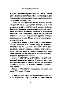 Играющее Средневековье