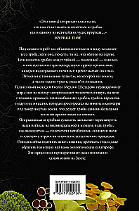 Запутанная жизнь. Как грибы меняют мир, наше сознание и наше будущее