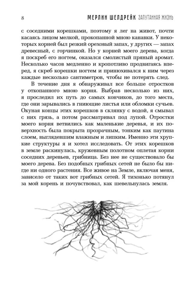 Запутанная жизнь. Как грибы меняют мир, наше сознание и наше будущее
