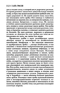 Запутанная жизнь. Как грибы меняют мир, наше сознание и наше будущее