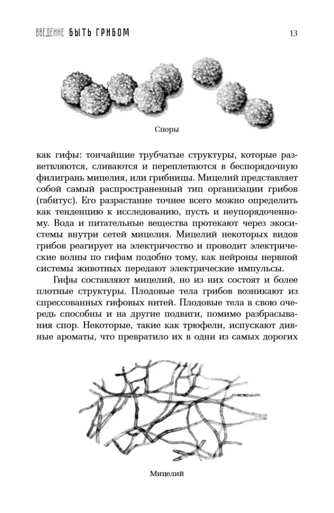 Sudėtingas gyvenimas. Kaip grybai keičia pasaulį, mūsų sąmonę ir mūsų ateitį
