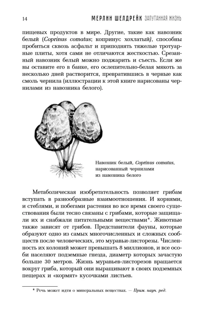Запутанная жизнь. Как грибы меняют мир, наше сознание и наше будущее