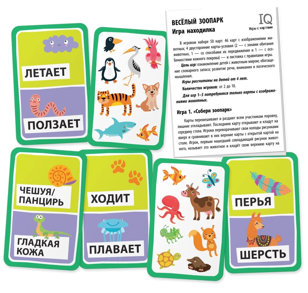 IQ card games. Funny Zoo