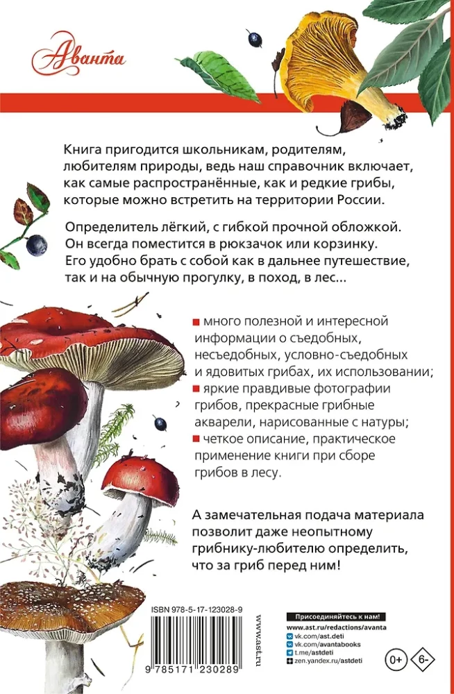 Grybai Rusijoje. Identifikatorius