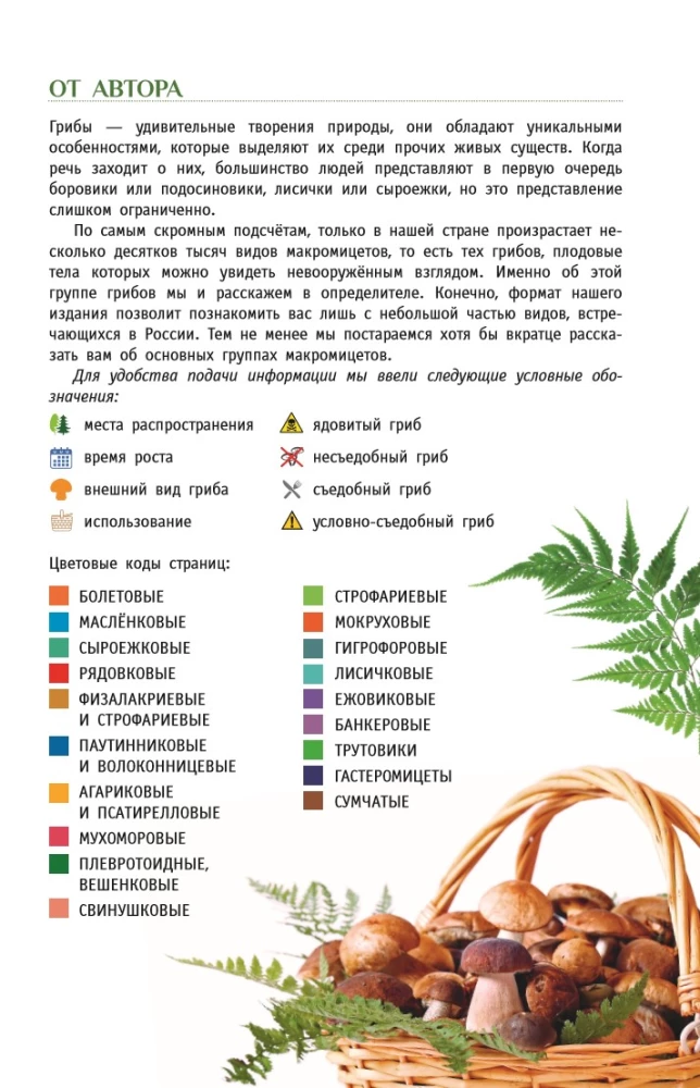 Grybai Rusijoje. Identifikatorius
