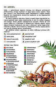 Grybai Rusijoje. Identifikatorius