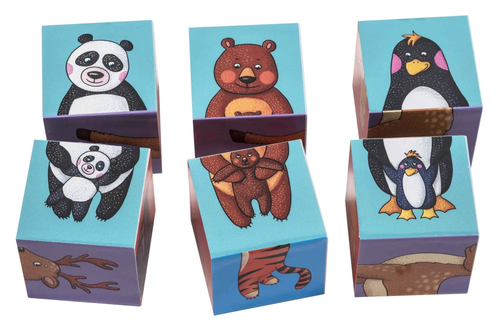 IQ kuubikud - Kes elab loomaaias?