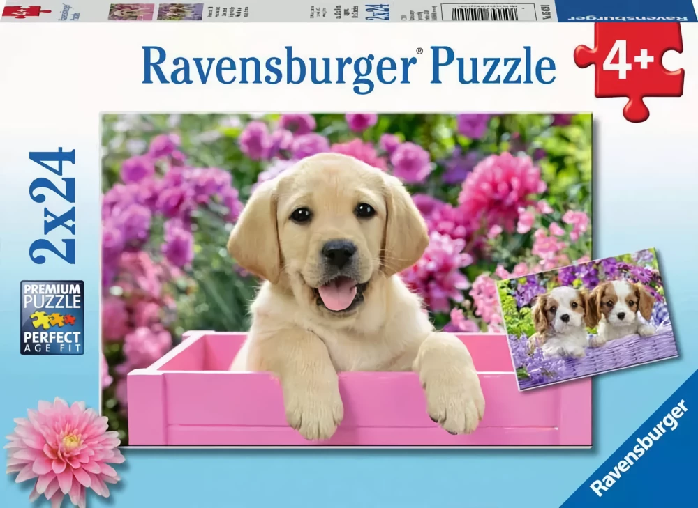 Puzzle: 2x24 - Friends with Fluffy Tails