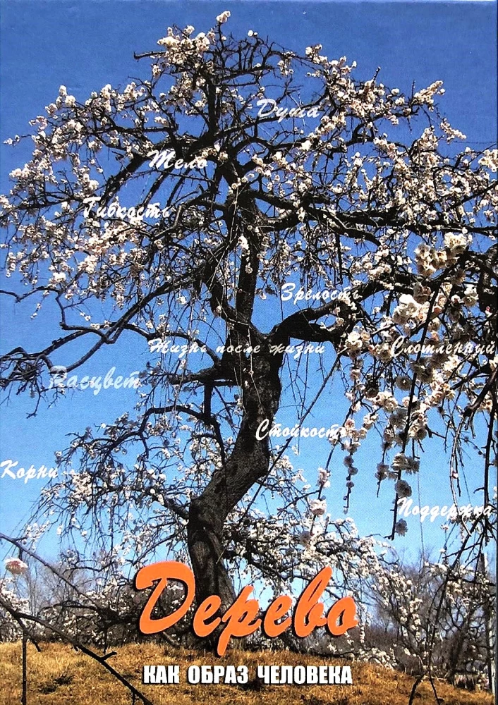 Metaforisko karšu komplekts - Koks kā cilvēka tēls (Cieta kaste)