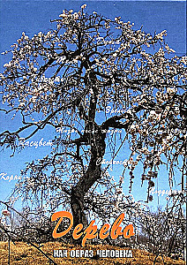 Metaforisko karšu komplekts - Koks kā cilvēka tēls (Cieta kaste)