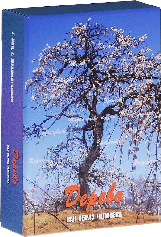 Metaforisko karšu komplekts - Koks kā cilvēka tēls (Cieta kaste)