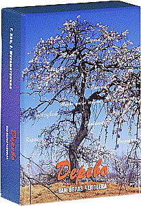 Metaforisko karšu komplekts - Koks kā cilvēka tēls (Cieta kaste)