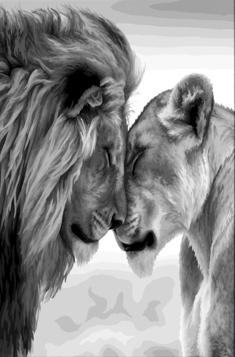 Картина по номерам со светящейся краской 40х50 см - Львиная любовь