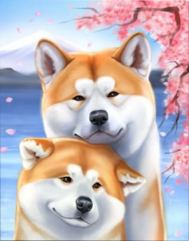 Malerei nach Zahlen 15x20 cm - Akita-Inu