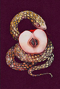 Taro - Kūrimo Šaltinis. Kreatyvus Taro. Kortos, pripildytos sekso magijos