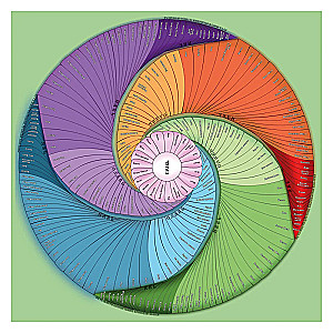 Metaphorical cards 78 pieces + transformation game about Koshuns