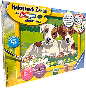 Painting by Numbers - Puppies, 13x18cm