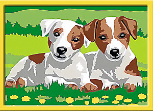 Painting by Numbers - Puppies, 13x18cm