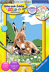 Картина по номерам - Ослик, 13x18см