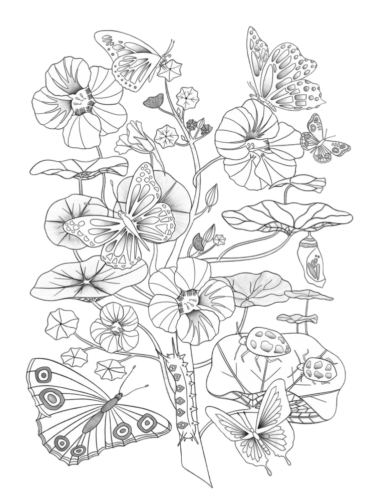 Galeria kolorowanek - Natura