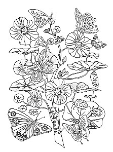Galeria kolorowanek - Natura