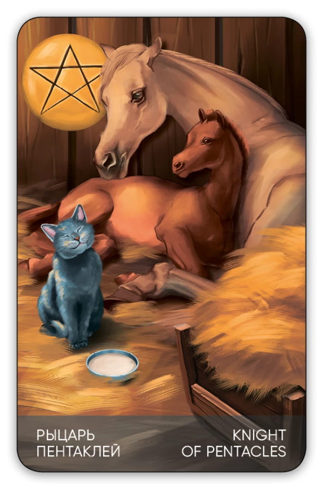 Karty wróżebne - Tarots Kotów (budżet), (talia 78 kart z instrukcją do wróżenia)