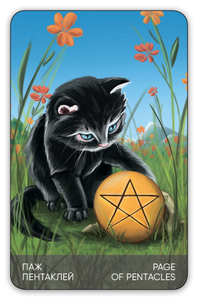 Karty wróżebne - Tarots Kotów (budżet), (talia 78 kart z instrukcją do wróżenia)