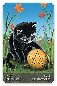 Karty wróżebne - Tarots Kotów (budżet), (talia 78 kart z instrukcją do wróżenia)