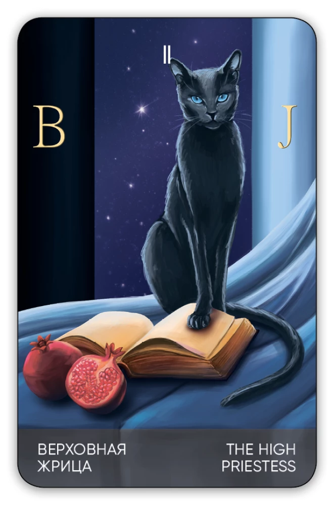 Karty wróżebne Tarota - Koty drogą. Cat's Way Tarot (zestaw 78 kart z książką instrukcją do wróżenia)
