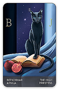 Karty wróżebne Tarota - Koty drogą. Cat's Way Tarot (zestaw 78 kart z książką instrukcją do wróżenia)