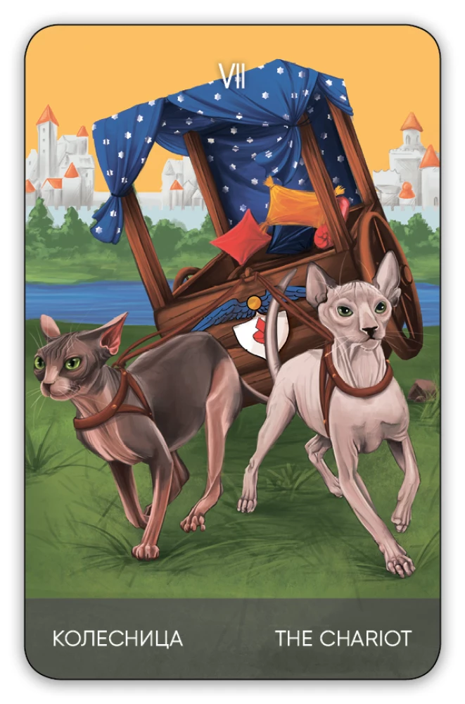 Karty wróżebne Tarota - Koty drogą. Cat's Way Tarot (zestaw 78 kart z książką instrukcją do wróżenia)