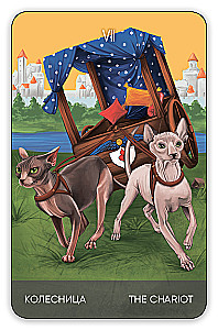 Karty wróżebne Tarota - Koty drogą. Cat's Way Tarot (zestaw 78 kart z książką instrukcją do wróżenia)