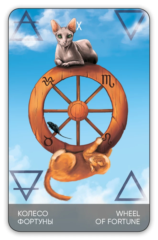 Karty wróżebne Tarota - Koty drogą. Cat's Way Tarot (zestaw 78 kart z książką instrukcją do wróżenia)