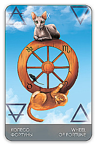 Karty wróżebne Tarota - Koty drogą. Cat's Way Tarot (zestaw 78 kart z książką instrukcją do wróżenia)