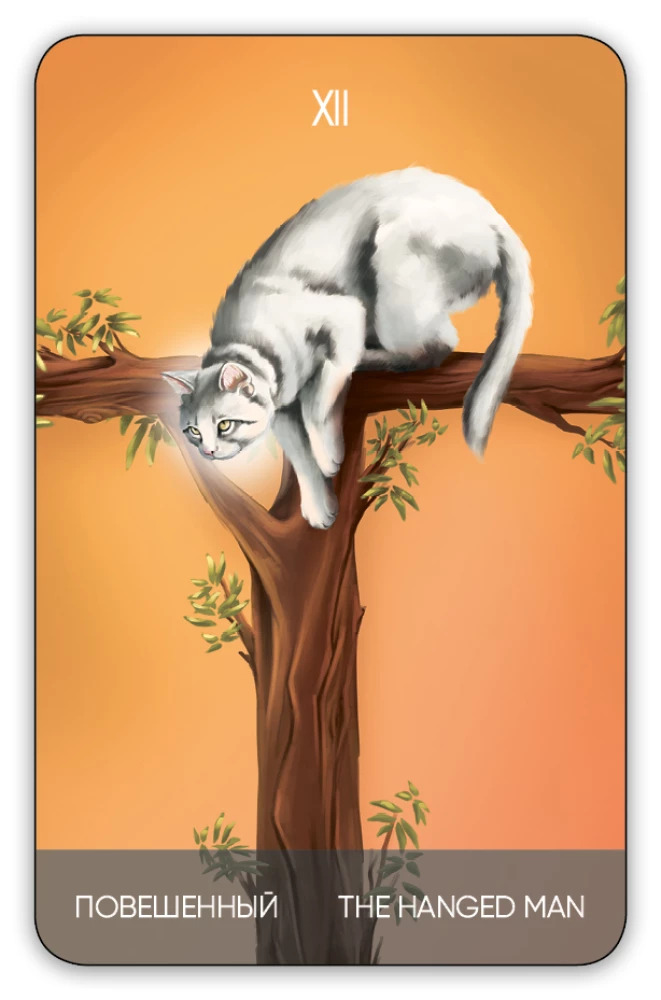 Karty wróżebne Tarota - Koty drogą. Cat's Way Tarot (zestaw 78 kart z książką instrukcją do wróżenia)
