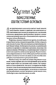 Senovinė medžių magija. Kaip atpažinti ir dirbti su jais dvasinėje ir maginėje