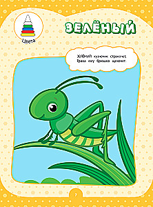 Annual Course in Six Months: For Children Aged 2-3 Years