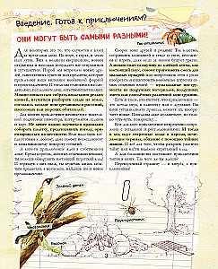 A Big Gift for a Boy. An Encyclopedia for Real Boys