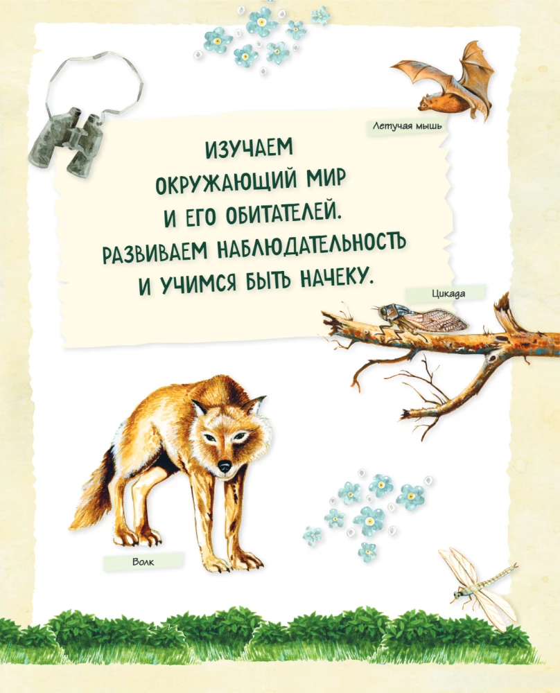 A Big Gift for a Boy. An Encyclopedia for Real Boys