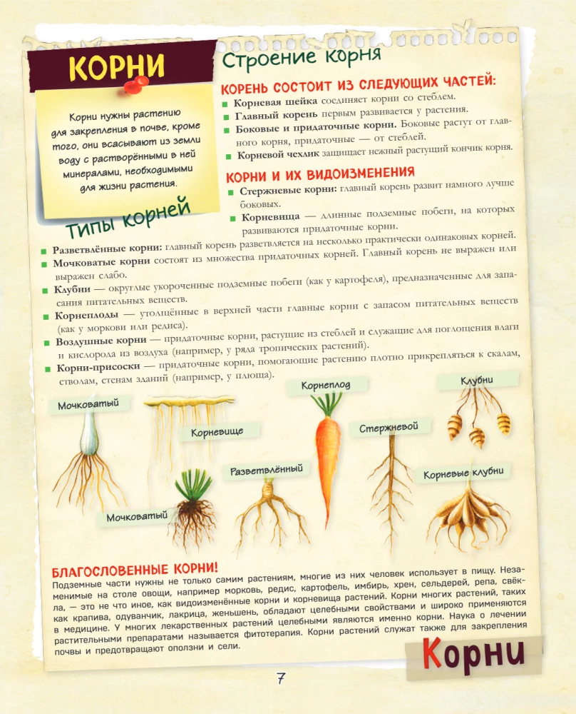 A Big Gift for a Boy. An Encyclopedia for Real Boys