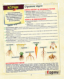 A Big Gift for a Boy. An Encyclopedia for Real Boys