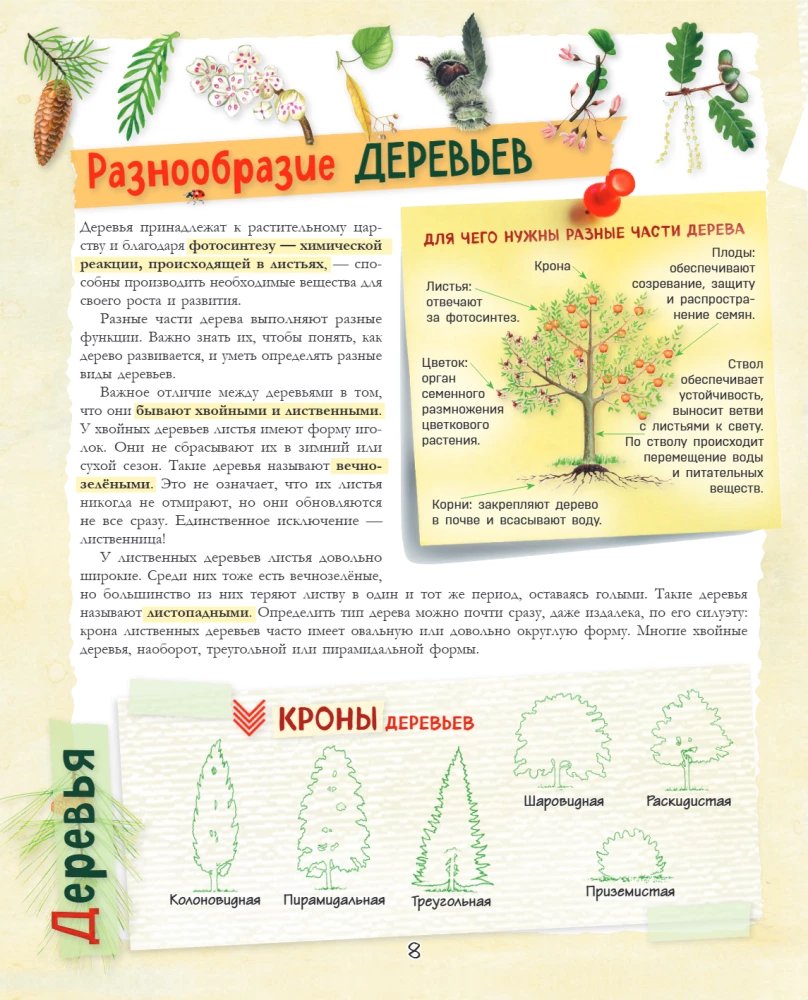 A Big Gift for a Boy. An Encyclopedia for Real Boys