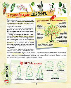 A Big Gift for a Boy. An Encyclopedia for Real Boys